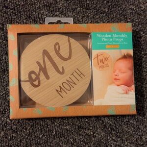 Wooden Monthly Photo Props brand new in box